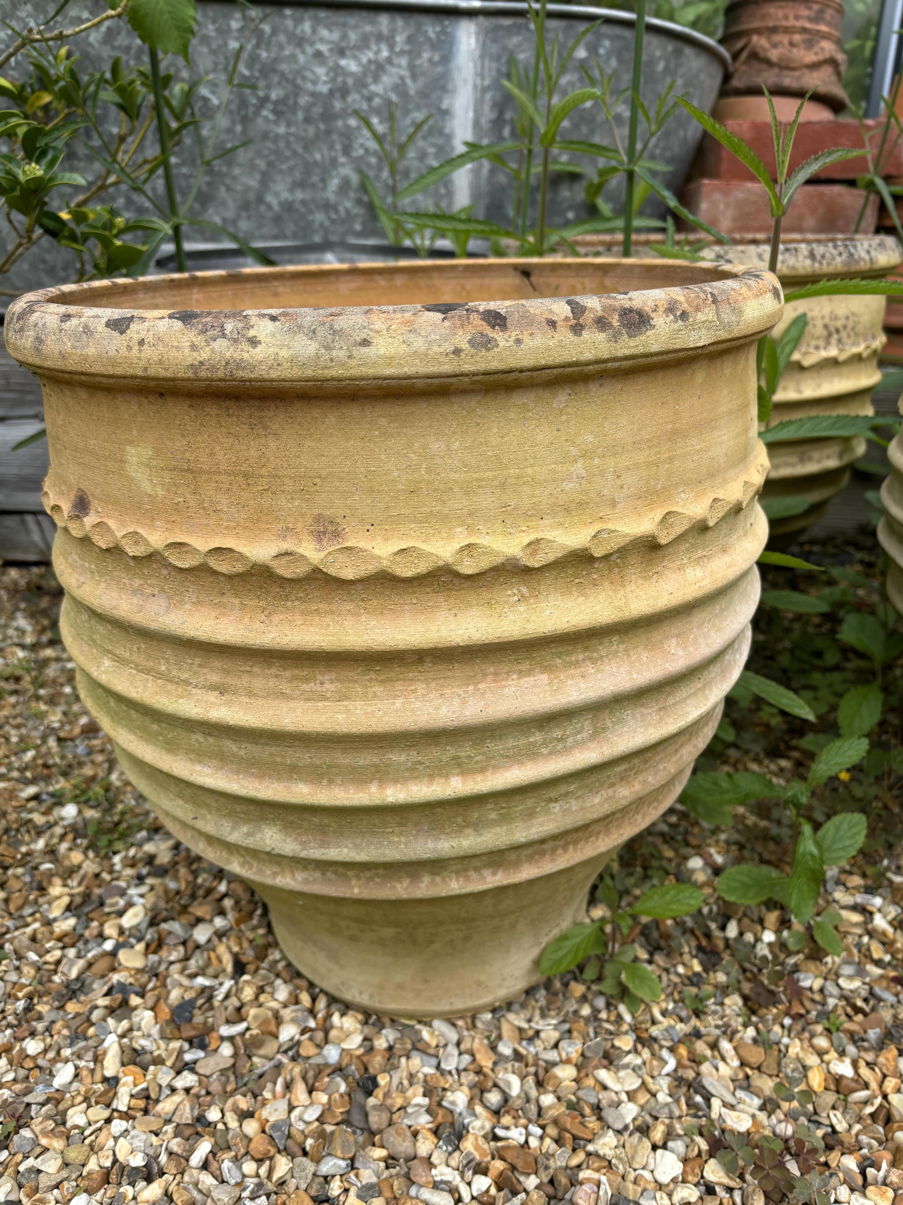 A set of four Minos Italian style terracotta planters, height 35cm, depth 40cm, and a pair of similar planters, planting removed. Condition - weathered, otherwise good